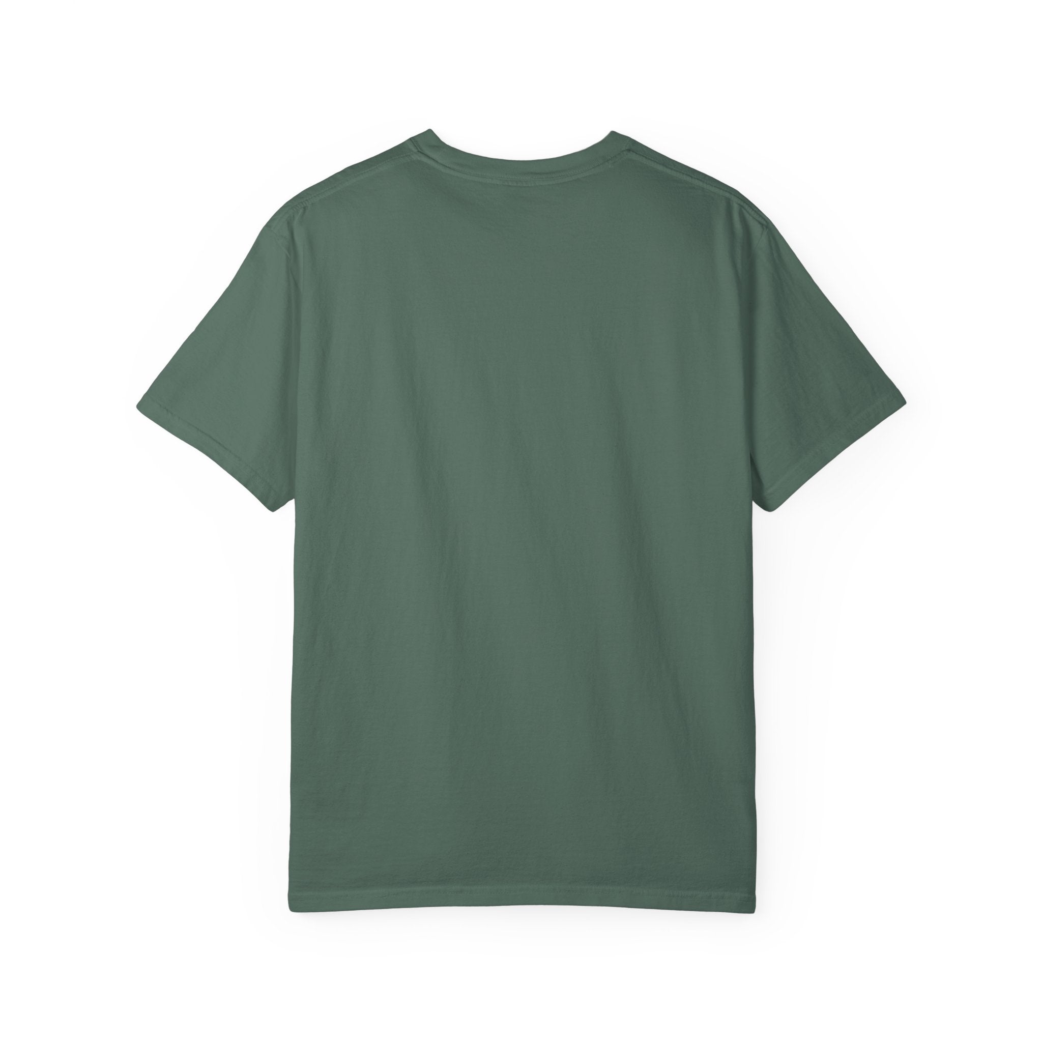 Patriotic Cat USA T-Shirt – 1776 • 2026 Flag Tee